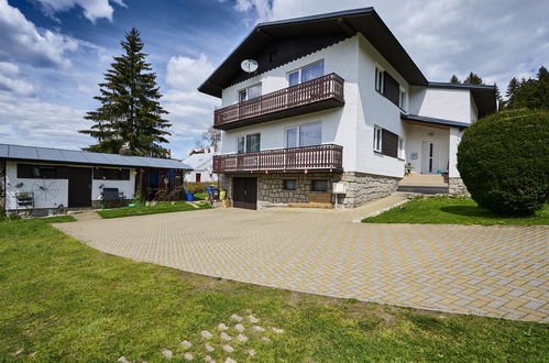 Photo 18 - Appartement en Harrachov avec jardin