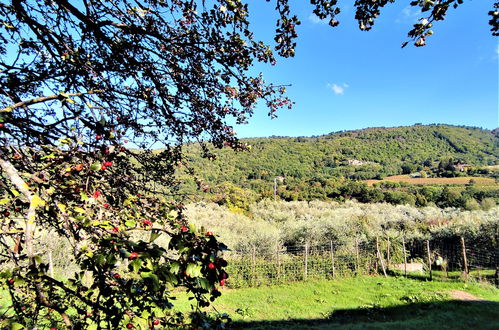 Foto 30 - Casa de 1 quarto em Greve in Chianti com piscina e jardim