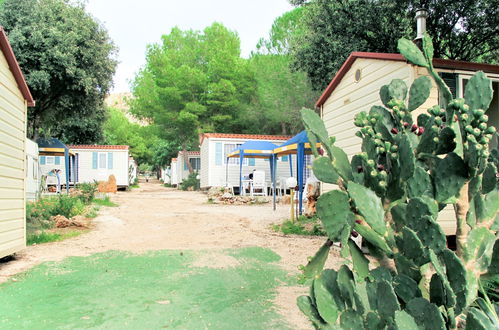 Foto 12 - Casa con 2 camere da letto a San Vito Lo Capo con piscina e giardino