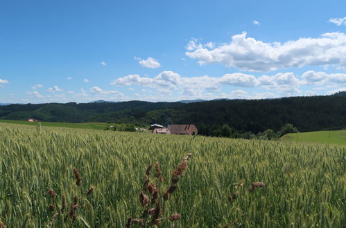 Foto 16 - Appartamento con 1 camera da letto a Hofstetten con terrazza e vista sulle montagne