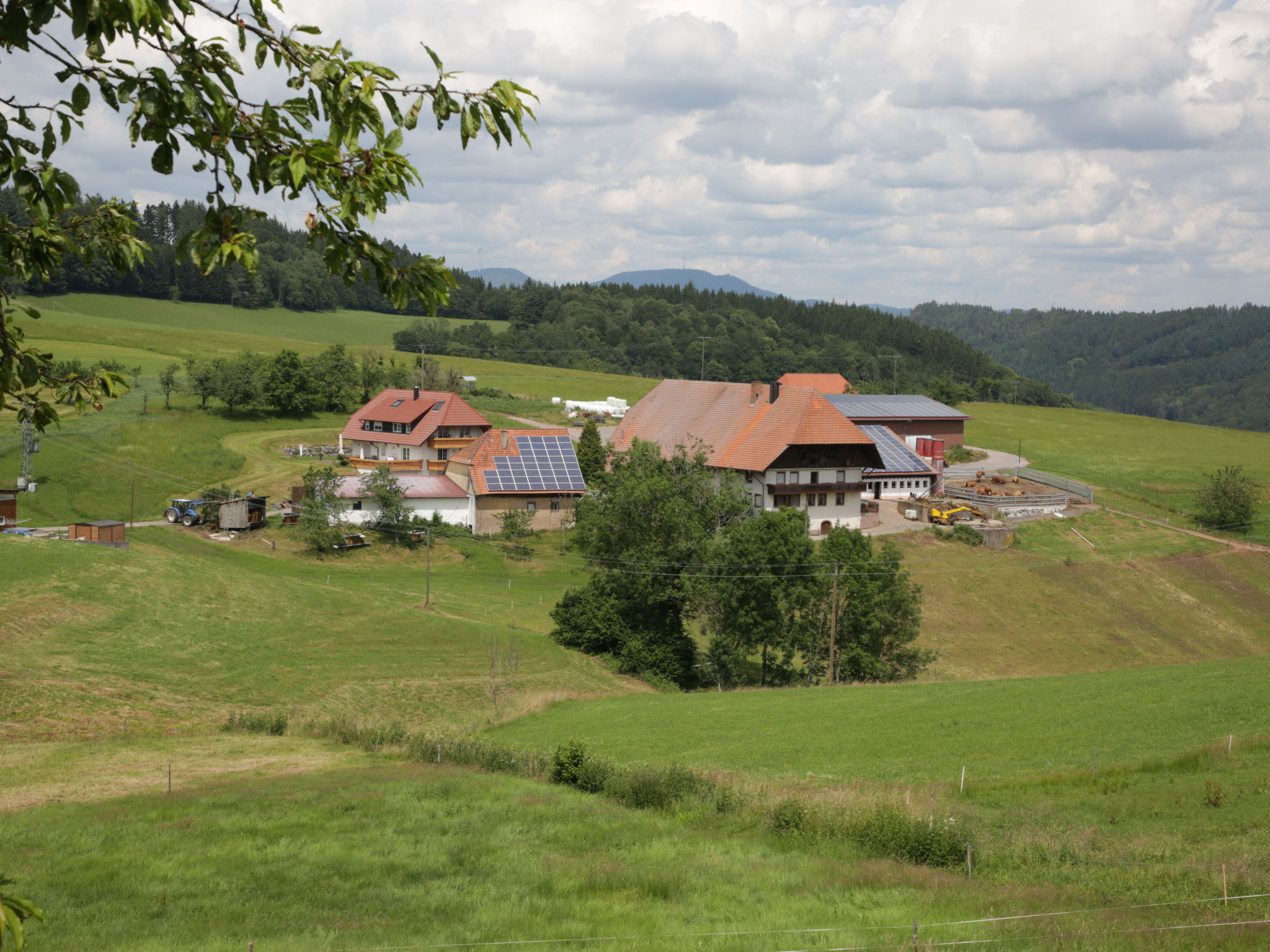 Foto 15 - Appartamento con 1 camera da letto a Hofstetten con terrazza e vista sulle montagne