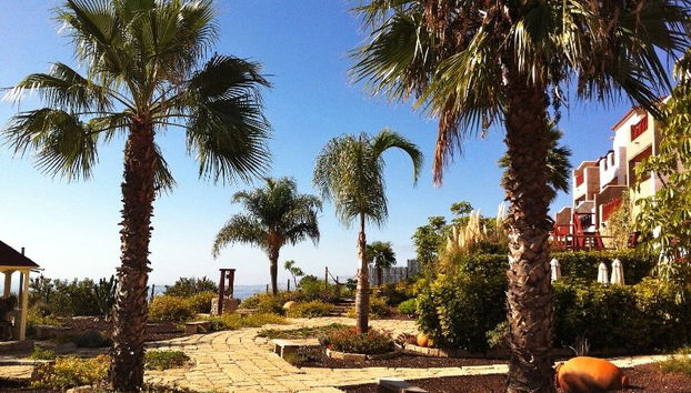 Finca Vistabonita - Foto 5