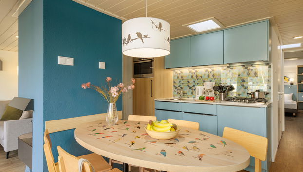 Casa de 3 quartos em Zeewolde com piscina e terraço - Foto 3