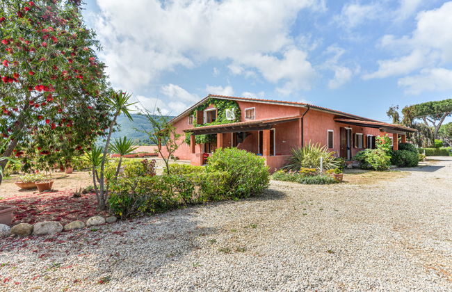 Apartamento de 1 quarto em Capoliveri com piscina e jardim - Foto 59
