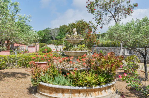 Foto 50 - Casa de 3 quartos em Capoliveri com piscina e jardim