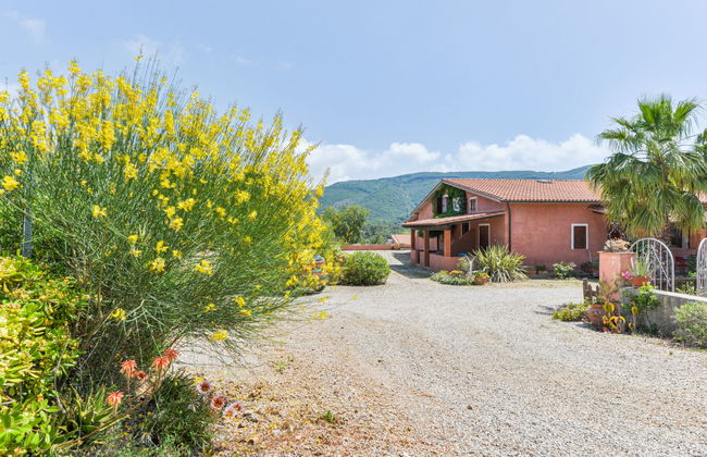 Apartamento de 1 quarto em Capoliveri com piscina e jardim - Foto 55