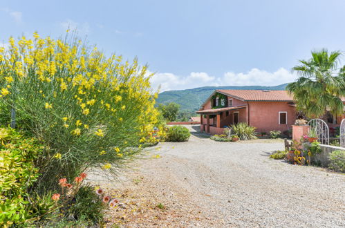 Foto 42 - Appartamento con 2 camere da letto a Capoliveri con piscina e giardino