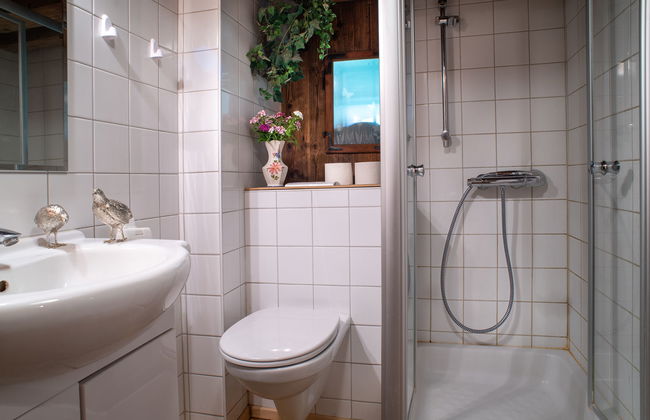 Casa de 4 quartos em Neuhofen im Innkreis com jardim - Foto 11
