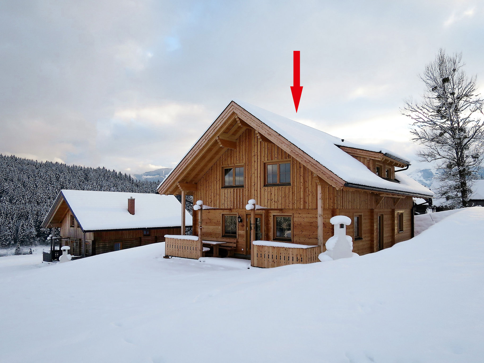 Foto 48 - Casa con 6 camere da letto a Mitterberg-Sankt Martin con piscina e vista sulle montagne