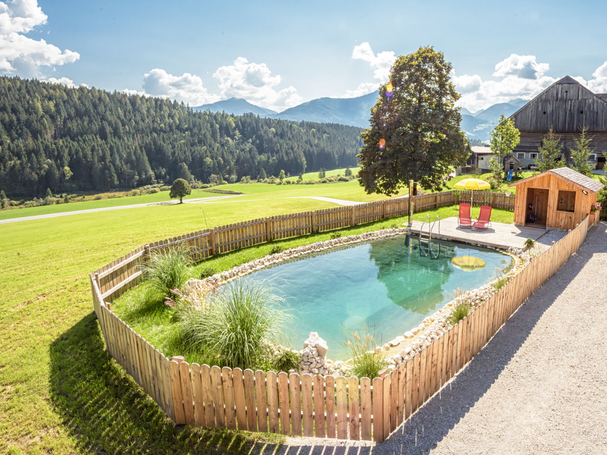 Foto 41 - Haus mit 4 Schlafzimmern in Mitterberg-Sankt Martin mit schwimmbad und blick auf die berge