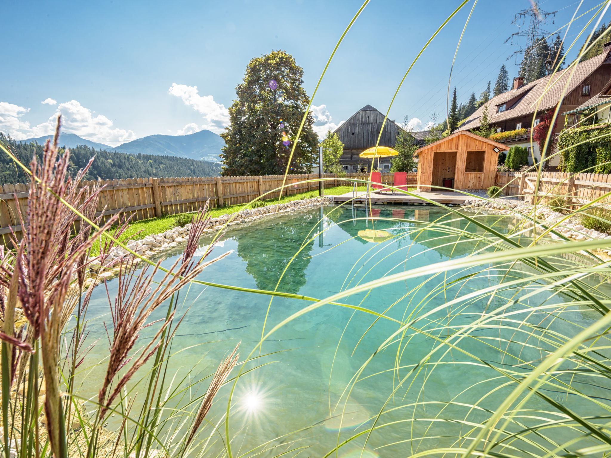 Photo 30 - Maison de 6 chambres à Mitterberg-Sankt Martin avec piscine et vues sur la montagne