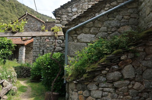 Photo 25 - Maison en Sainte-Marguerite-Lafigère avec terrasse