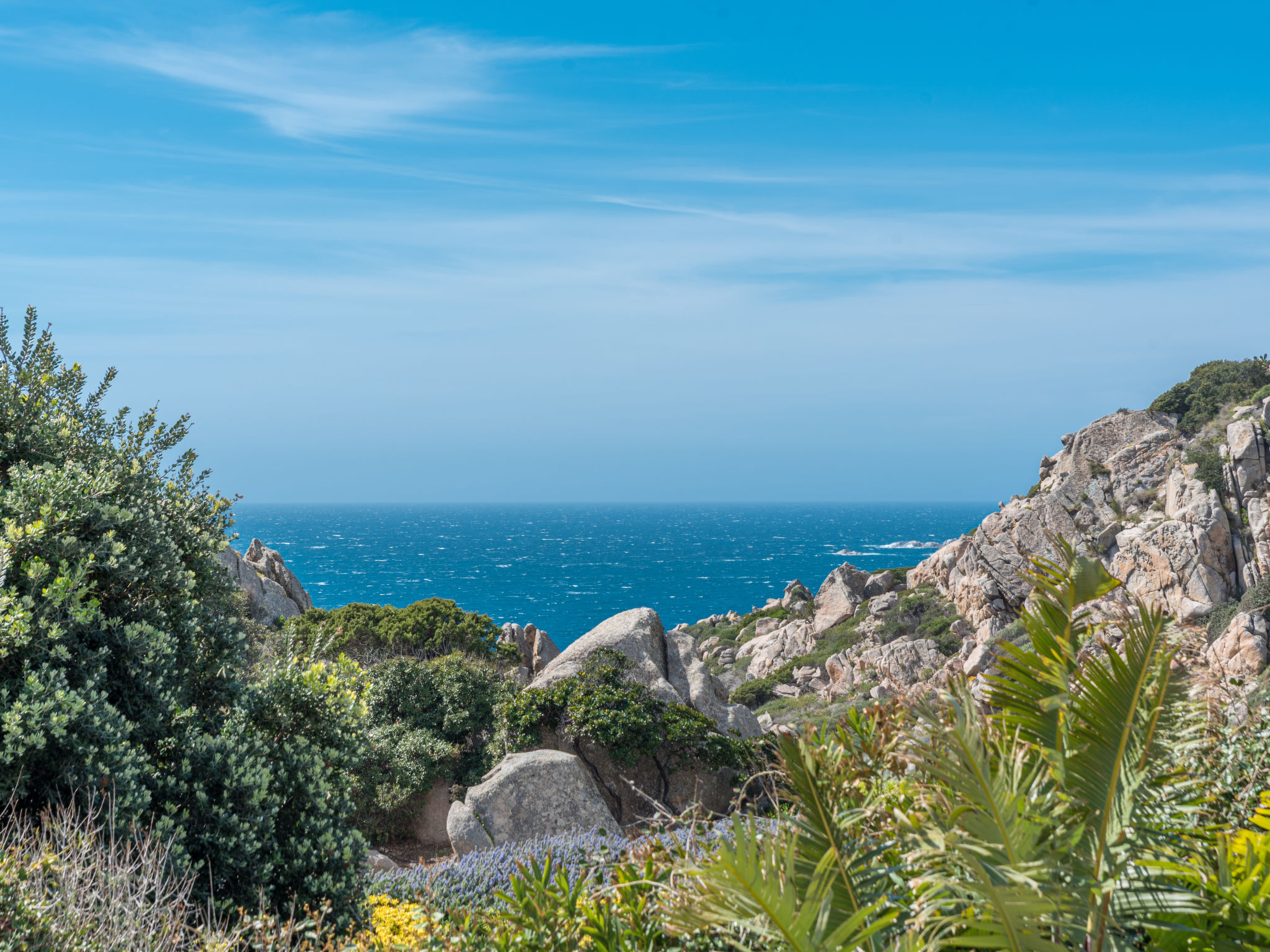 Foto 35 - Casa con 3 camere da letto a Santa Teresa Gallura con piscina privata e vista mare