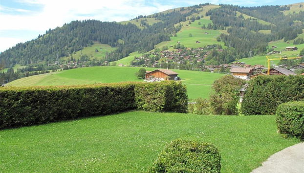 Apartamento de 3 quartos em Saanen - Foto 5