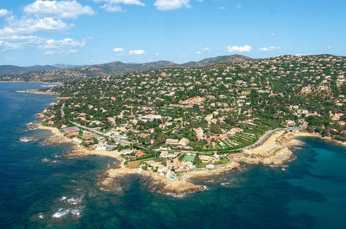 Photo 26 - Maison de 2 chambres à Roquebrune-sur-Argens avec piscine et vues à la mer