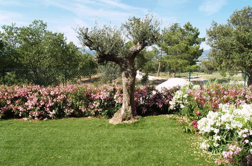 Foto 22 - Casa de 2 quartos em Roquebrune-sur-Argens com piscina e jardim