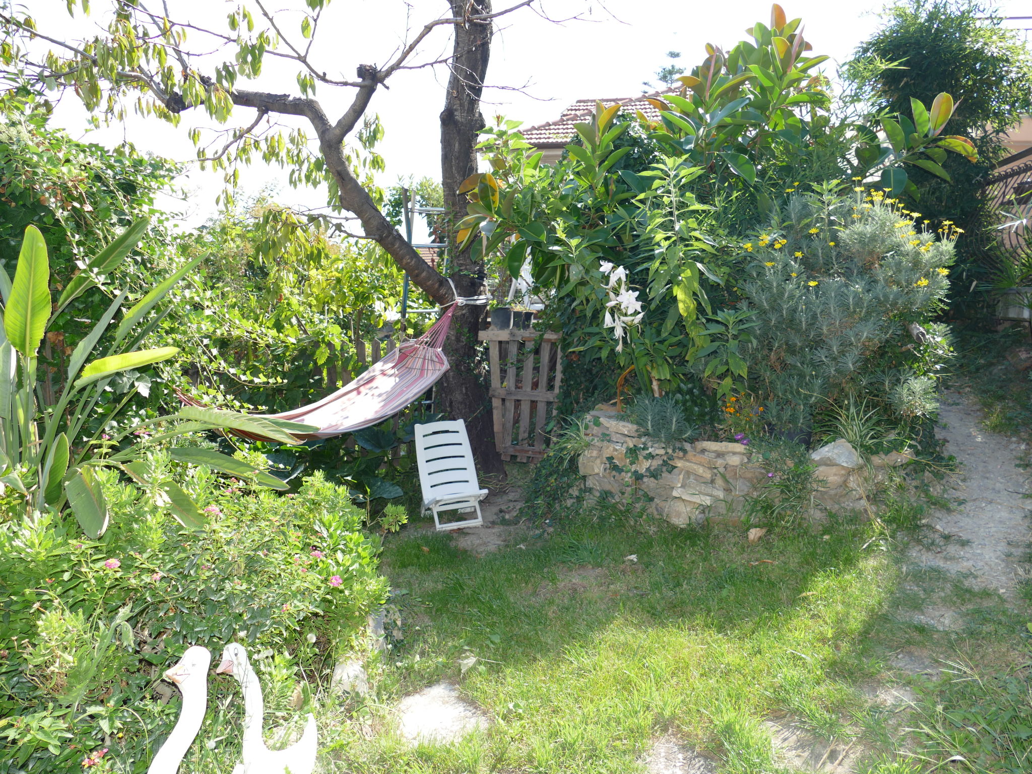 Photo 15 - 1 bedroom Apartment in Sanremo with garden and terrace