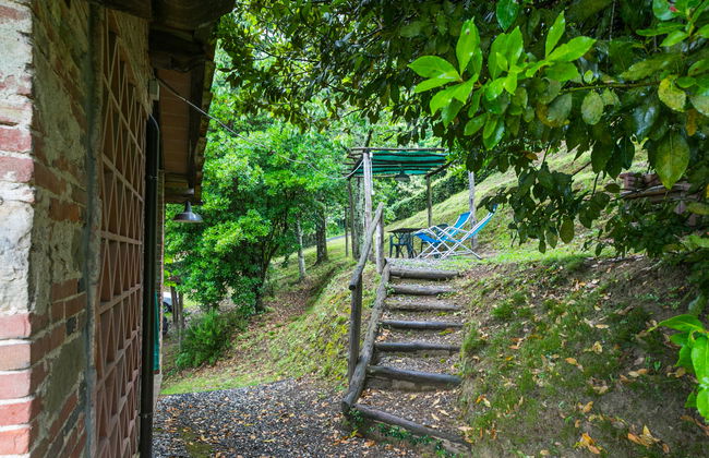 Podere Piastriccio/Casa di Vetro - Foto 26