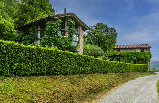 Podere Piastriccio/Casa di Vetro - Foto 23