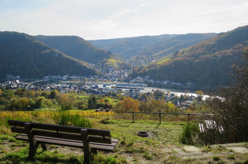 Foto 51 - Appartamento con 1 camera da letto a Traben-Trarbach con giardino e terrazza