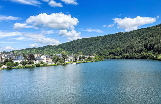 Casa de 2 quartos em Traben-Trarbach com terraço - Foto 23