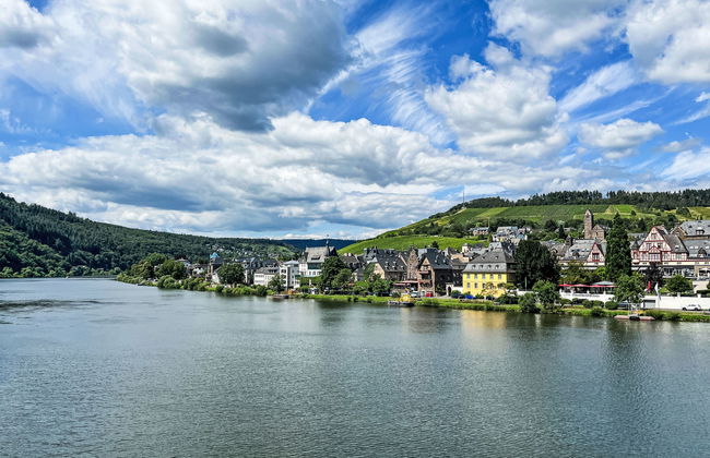 Apartamento de 1 quarto em Traben-Trarbach - Foto 23