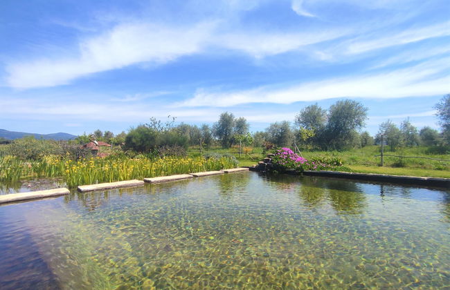 Casa de 2 quartos em Roccastrada com piscina e jardim - Foto 23