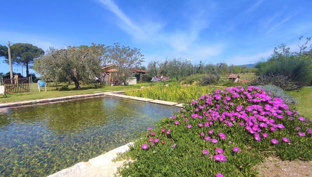 Haus mit 2 Schlafzimmern in Roccastrada mit schwimmbad und garten - Foto 2