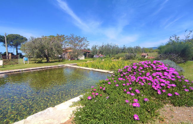 Casa de 2 quartos em Roccastrada com piscina e jardim - Foto 2