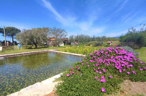 Foto 2 - Casa de 1 quarto em Roccastrada com piscina e jardim