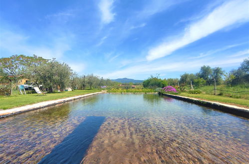 Foto 3 - Casa de 1 quarto em Roccastrada com piscina e jardim