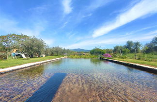 Foto 3 - Casa de 1 quarto em Roccastrada com piscina e jardim