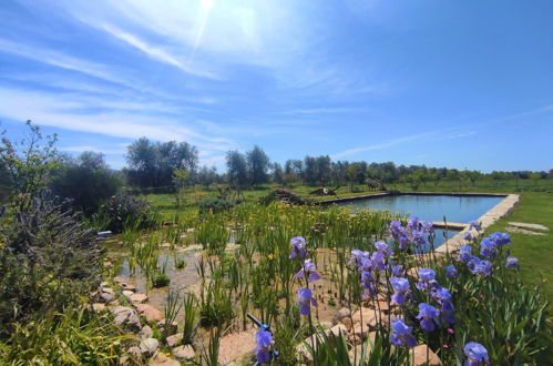 Photo 21 - Maison de 1 chambre à Roccastrada avec piscine et jardin