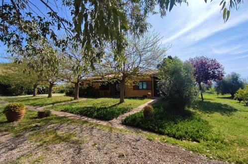 Photo 16 - Maison de 1 chambre à Roccastrada avec piscine et jardin