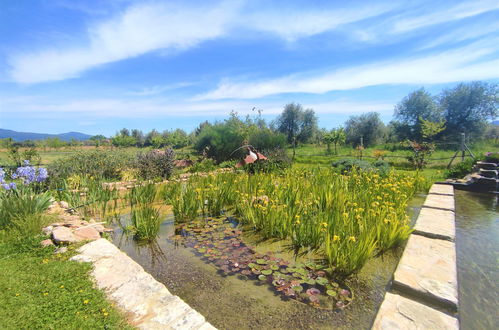 Photo 24 - Maison de 1 chambre à Roccastrada avec piscine et jardin