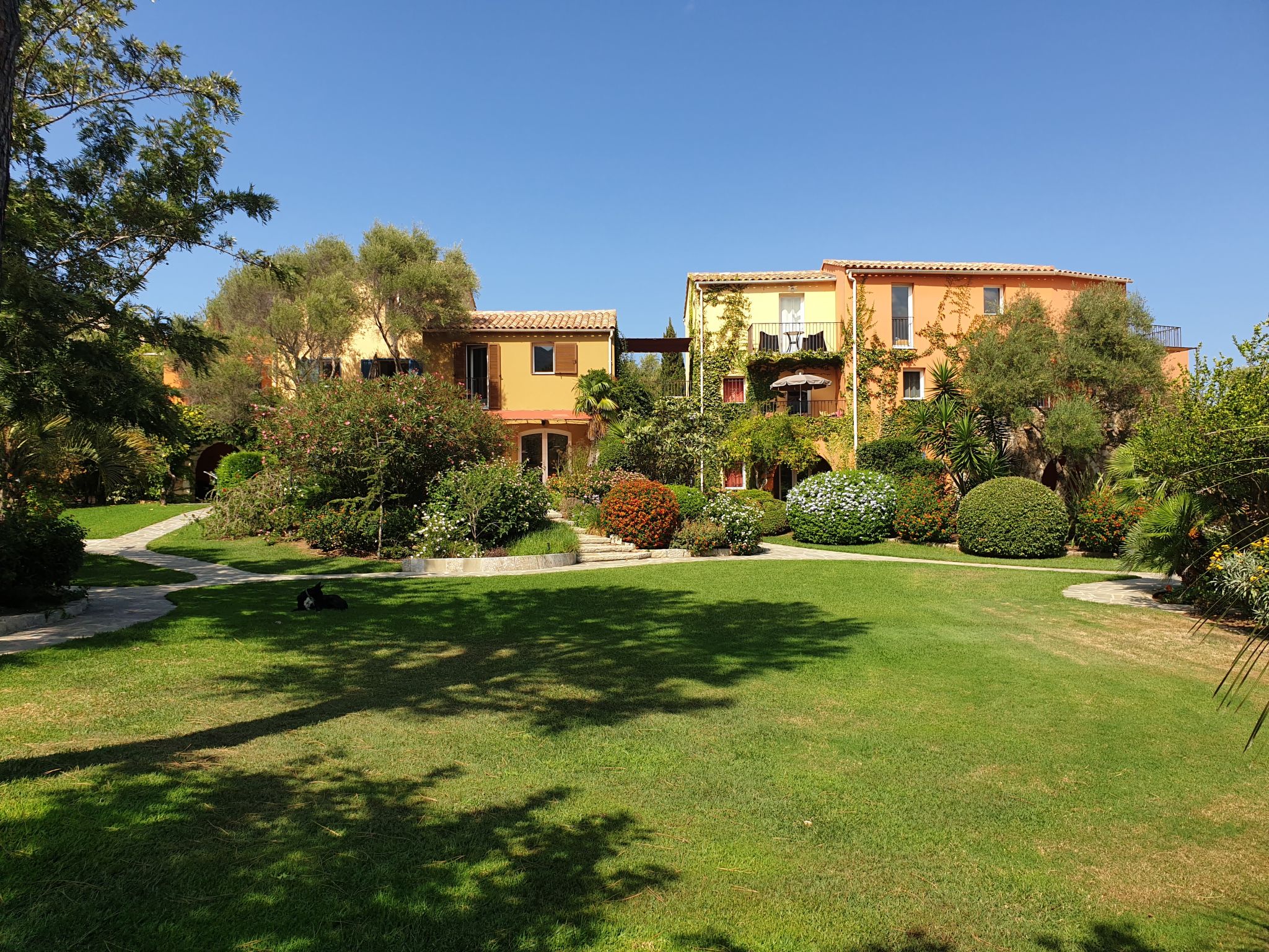 Foto 5 - Apartment mit 1 Schlafzimmer in Calvi mit schwimmbad und blick aufs meer