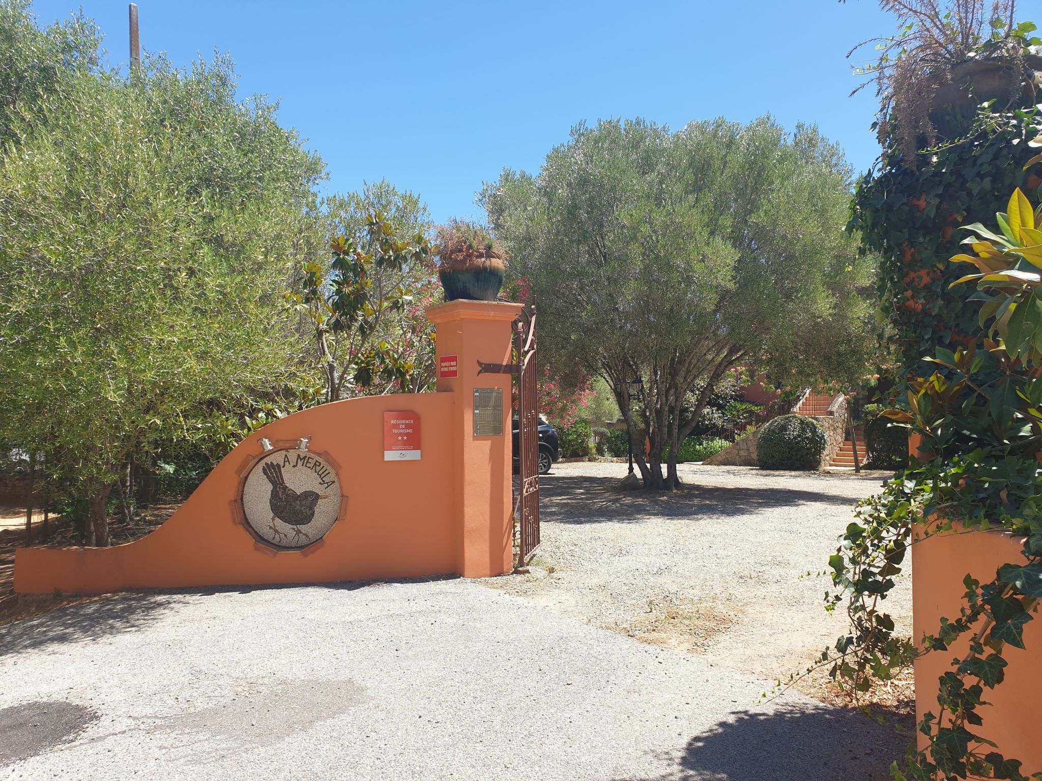 Foto 18 - Appartamento a Calvi con piscina e giardino