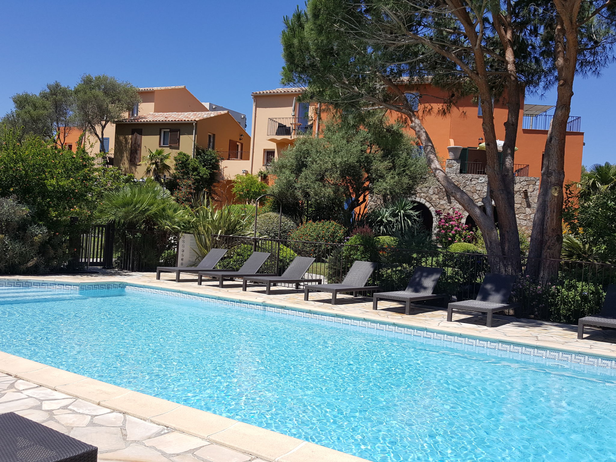 Photo 1 - Apartment in Calvi with swimming pool and garden