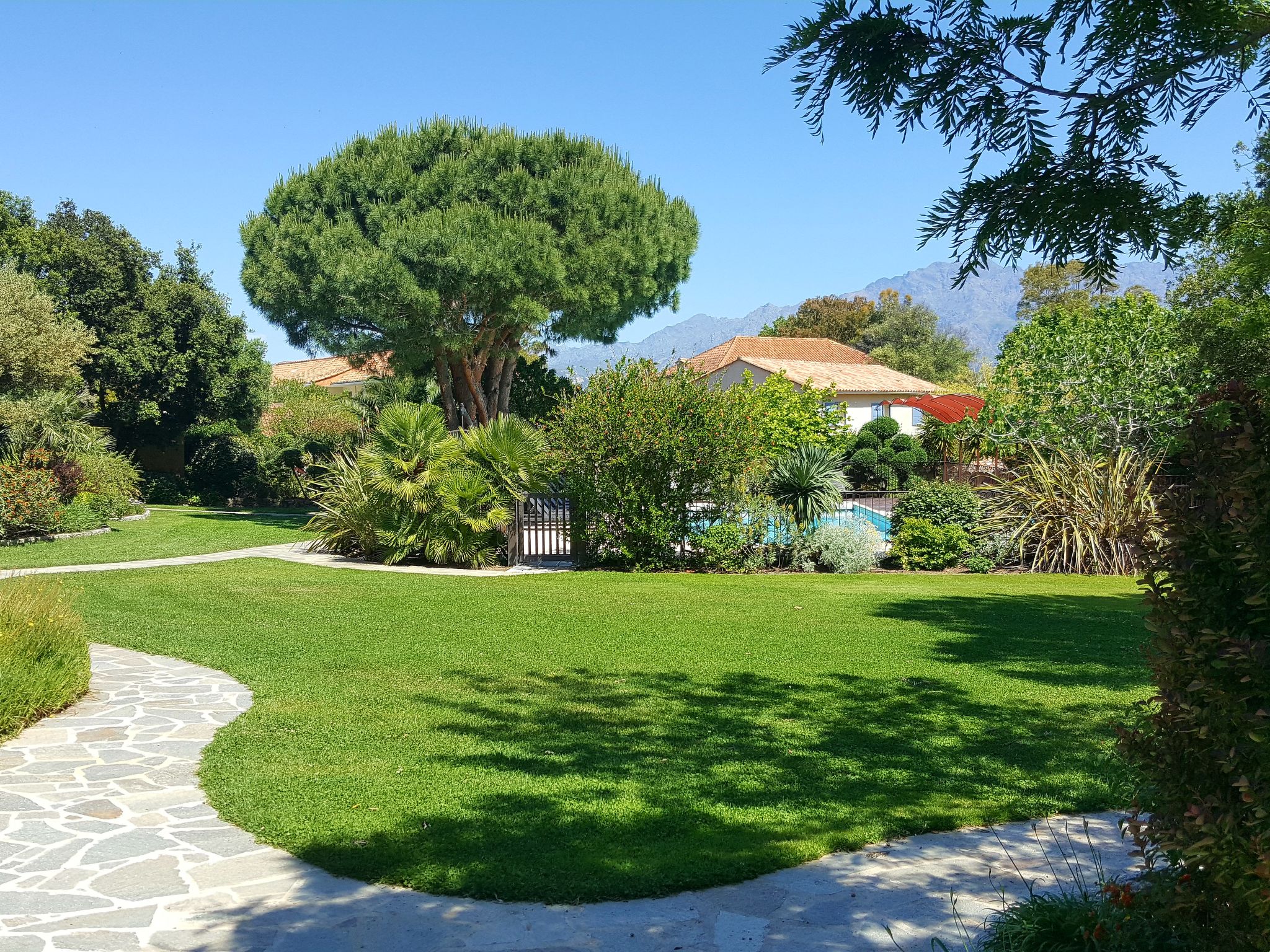 Photo 3 - Appartement de 1 chambre à Calvi avec piscine et jardin