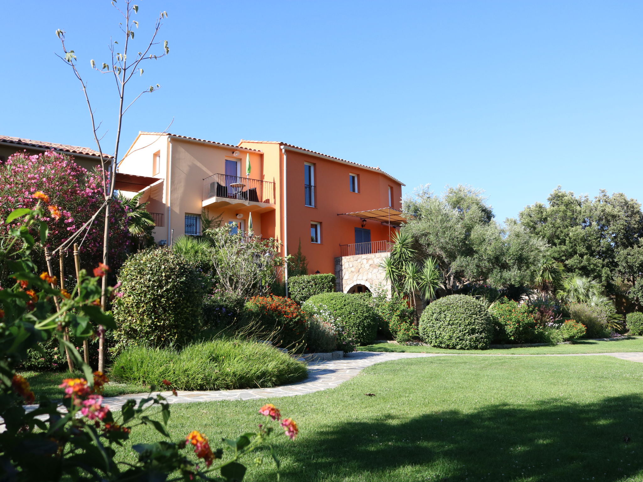 Photo 22 - 1 bedroom Apartment in Calvi with swimming pool and garden