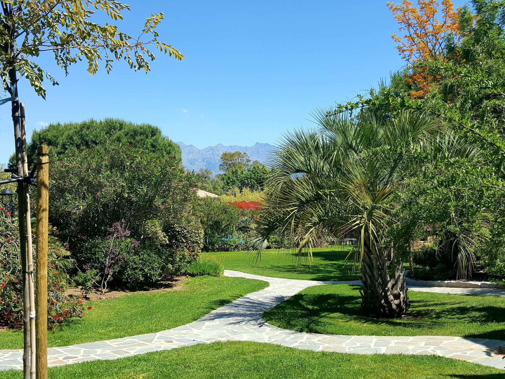 Photo 4 - Apartment in Calvi with swimming pool and garden