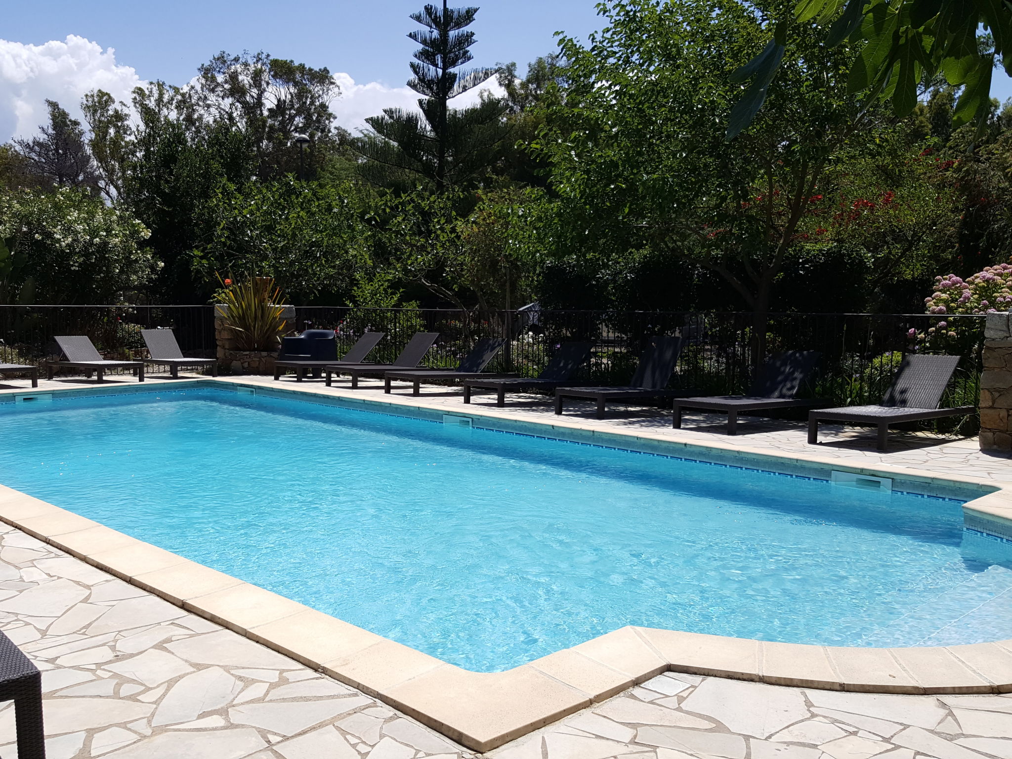 Photo 27 - Maison de 1 chambre à Calvi avec piscine et jardin