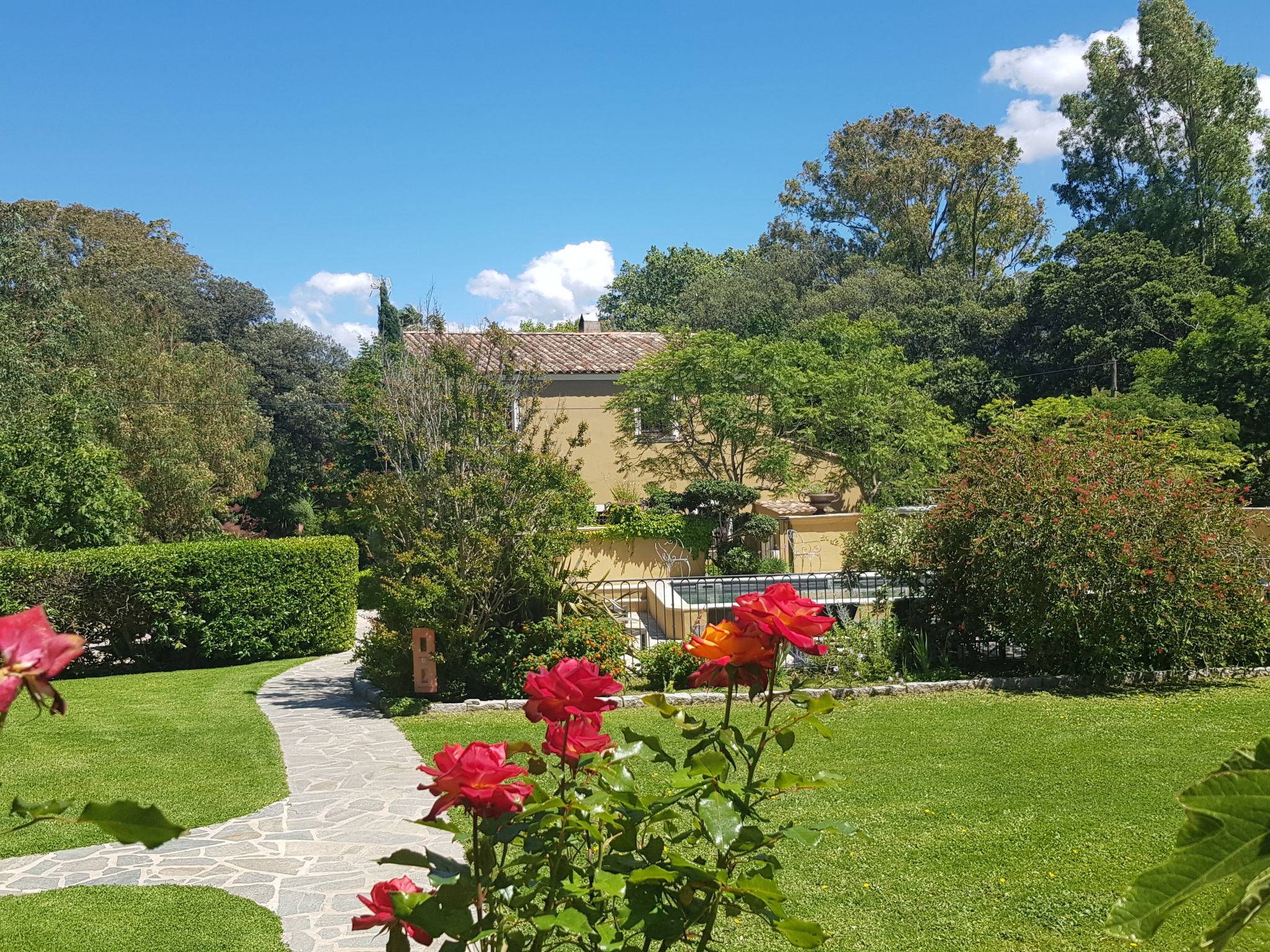 Foto 2 - Apartamento em Calvi com piscina e jardim