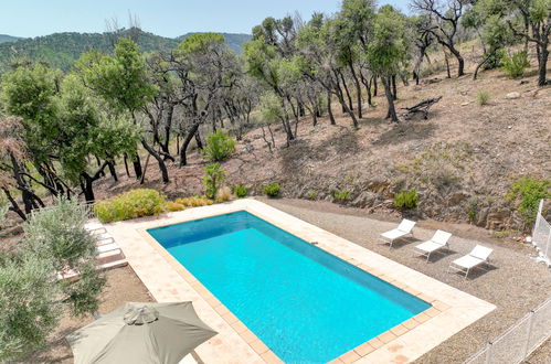 Photo 21 - Maison de 5 chambres à Grimaud avec piscine privée et jardin