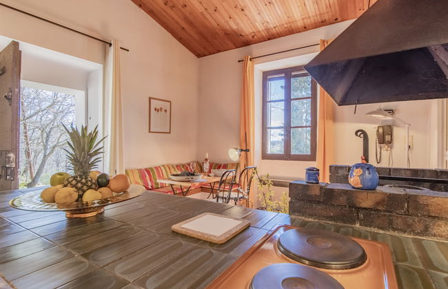 Casa de 1 quarto em Puimichel com jardim - Foto 9