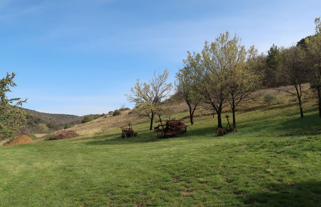Casa de 1 quarto em Puimichel com jardim e terraço - Foto 20