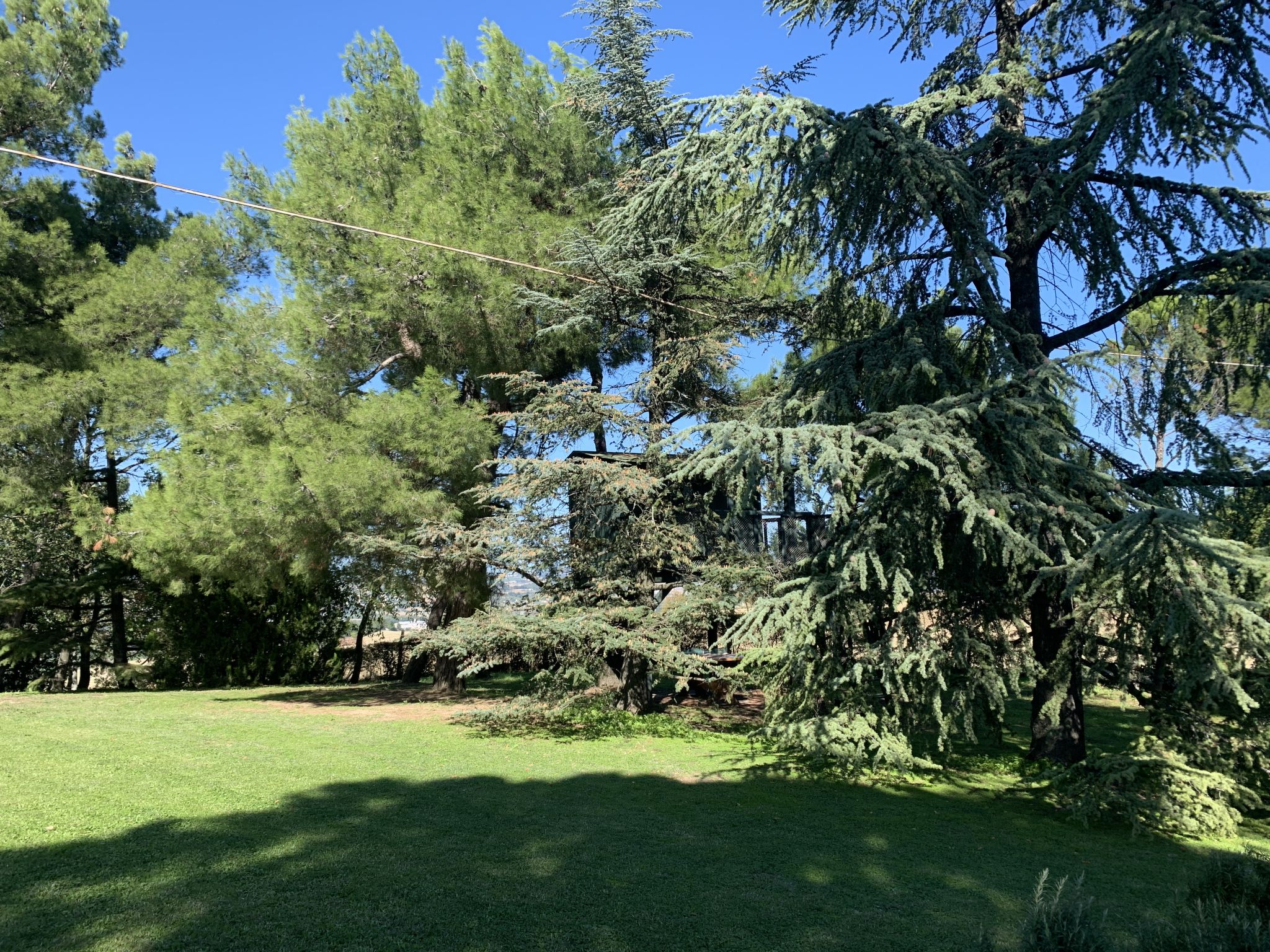 Photo 26 - Maison de 4 chambres à Pesaro avec jardin