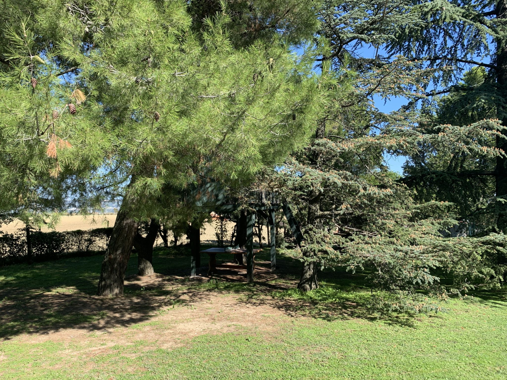 Photo 27 - Maison de 4 chambres à Pesaro avec jardin et vues à la mer