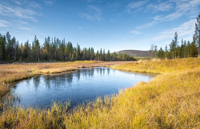 2 bedroom House in Kittilä - Photo 14