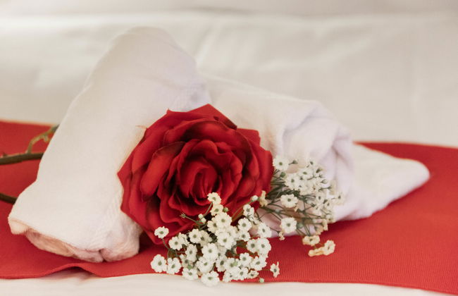 Apartment mit 1 Schlafzimmer in Grindelwald - Foto 4